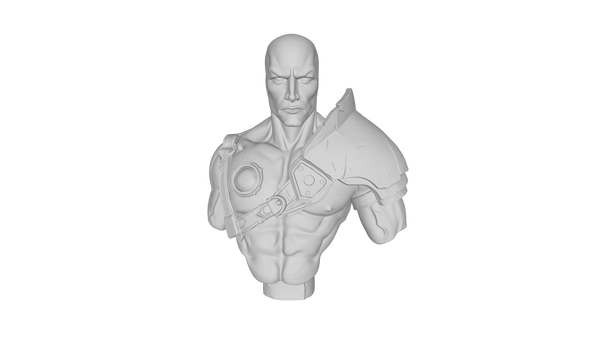 Silver Surfer Bust (STL FILE)